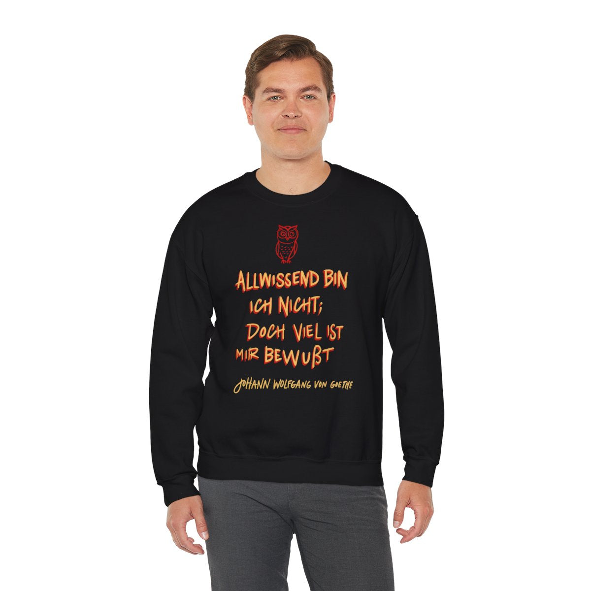 Unisex Sweatshirt mit Zitat - Goethe - Allwissend bin ich nicht – person-3